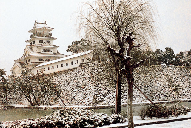 今治城雪景色